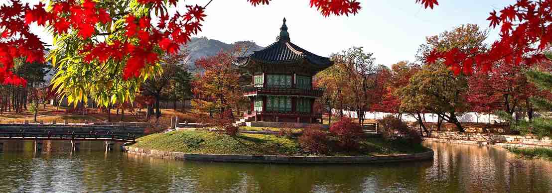 Book you Japanese encephalitis vaccine